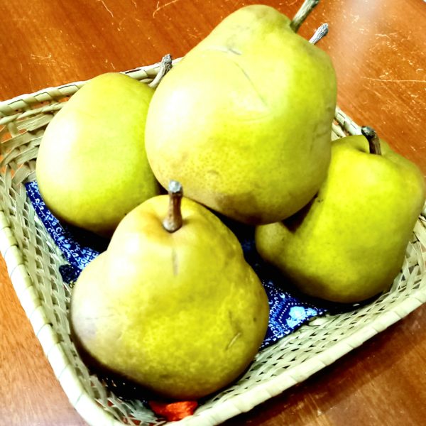 記事のサムネイル画像